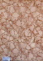 giornale/RAV0147726/1908/v.5/00000002