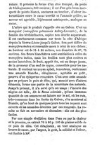 giornale/RAV0240071/1858/A.2/00000383