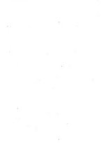 giornale/RAV0240071/1868/unico/00000006