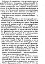 giornale/RAV0240071/1872/unico/00000045