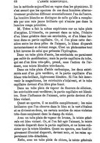 giornale/RAV0240071/1872/unico/00000080