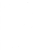 giornale/RAV0240875/1915/unico/00000607