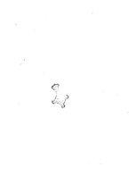 giornale/RAV0240875/1916/unico/00000708