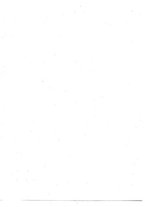 giornale/RAV0242577/1925/unico/00000010