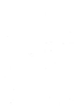 giornale/RAV0242577/1925/unico/00000059