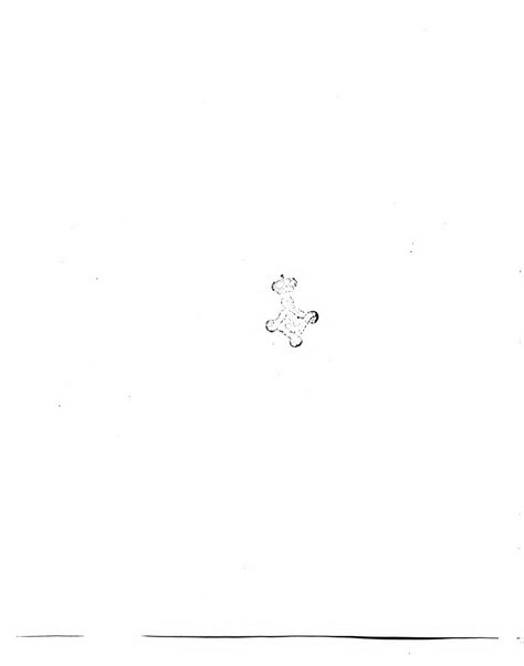 Xilografia pubblicazione mensile di xilografie originali