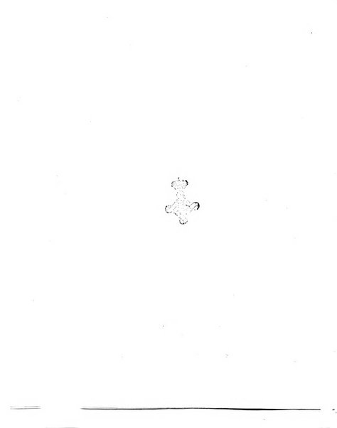 Xilografia pubblicazione mensile di xilografie originali