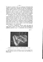 giornale/RAV0312134/1905/v.3/00000021