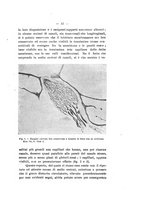 giornale/RAV0312134/1925/v.23/00000061