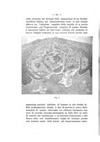 giornale/RAV0312134/1925/v.23/00000068