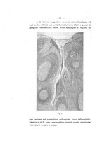 giornale/RAV0312134/1925/v.23/00000072