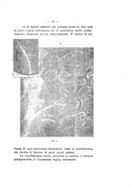 giornale/RAV0312134/1925/v.23/00000073