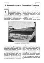 giornale/RAV0320755/1919-1920/unico/00000028