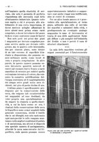 giornale/RAV0320755/1919-1920/unico/00000123