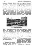 giornale/RAV0320755/1919-1920/unico/00000373