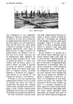 giornale/RAV0320755/1919-1920/unico/00000374