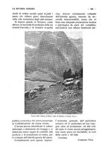 giornale/RAV0320755/1919-1920/unico/00000602
