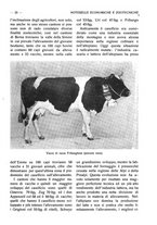 giornale/RAV0320755/1921/unico/00000029