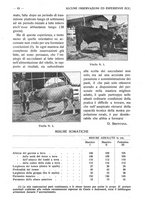 giornale/RAV0320755/1921/unico/00000093