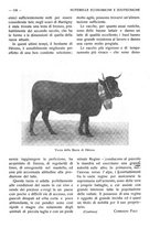 giornale/RAV0320755/1921/unico/00000133