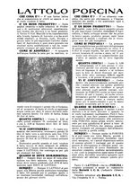 giornale/RAV0320755/1921/unico/00000528