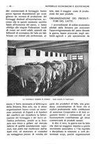 giornale/RAV0320755/1922/unico/00000095