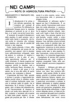 giornale/RAV0320755/1922/unico/00000187