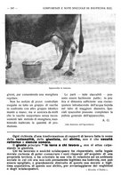 giornale/RAV0320755/1922/unico/00000273