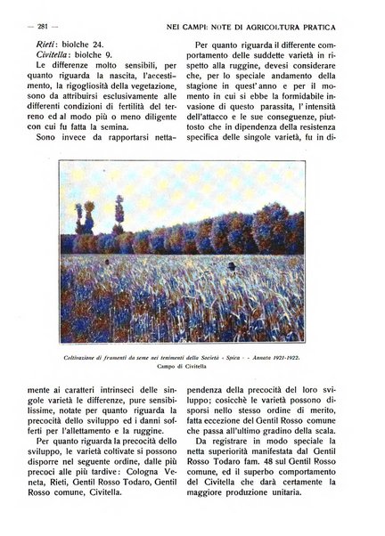 La riforma agraria rivista mensile illustrata delle organizzazioni agrarie parmensi