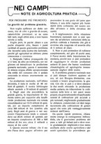 giornale/RAV0320755/1922/unico/00000371