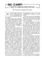 giornale/RAV0320755/1923/unico/00000032