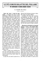 giornale/RAV0320755/1923/unico/00000093