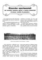 giornale/RAV0320755/1923/unico/00000117