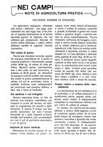 giornale/RAV0320755/1923/unico/00000132