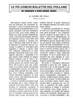 giornale/RAV0320755/1923/unico/00000134