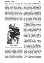 giornale/RAV0320755/1923/unico/00000222