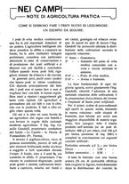 giornale/RAV0320755/1923/unico/00000225