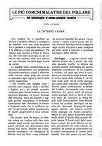 giornale/RAV0320755/1923/unico/00000228