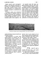 giornale/RAV0320755/1923/unico/00000274