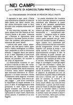 giornale/RAV0320755/1923/unico/00000281