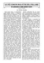 giornale/RAV0320755/1923/unico/00000285