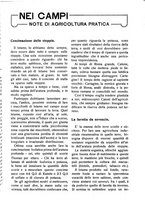 giornale/RAV0320755/1923/unico/00000327