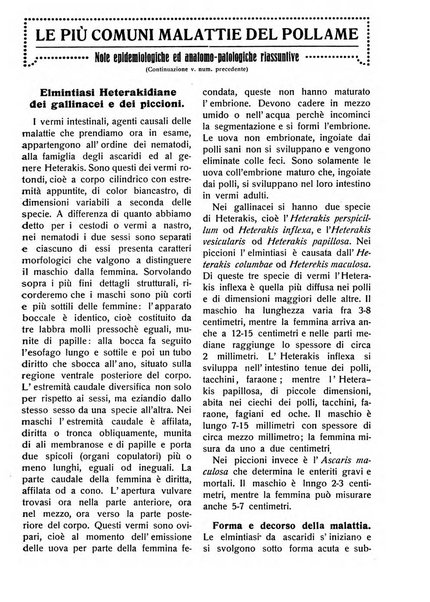 La riforma agraria rivista mensile illustrata delle organizzazioni agrarie parmensi