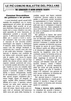 giornale/RAV0320755/1923/unico/00000439