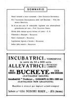 giornale/RAV0320755/1923/unico/00000502