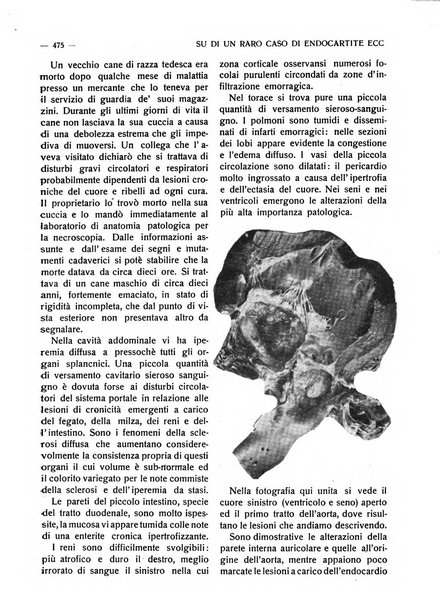 La riforma agraria rivista mensile illustrata delle organizzazioni agrarie parmensi