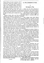 giornale/RAV0325118/1884-1885/unico/00000133