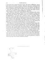 giornale/RMG0021479/1884/v.2/00000316