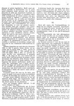 giornale/RMG0021704/1906/v.1/00000097