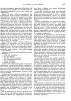 giornale/RMG0021704/1906/v.1/00000445